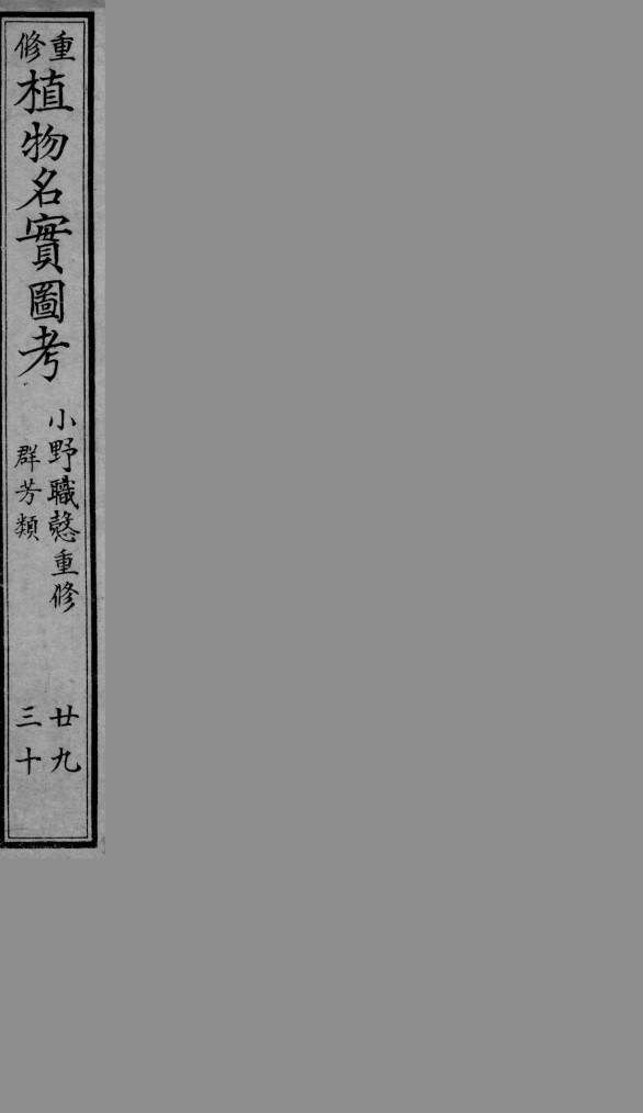植物名实图考  29-30